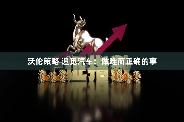 沃伦策略 追觅汽车：做难而正确的事